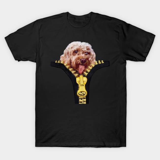 Doggy in my pocket - Cavapoo Cavoodle puppy sticking it’s tongue out - cute cavalier king charles spaniel T-Shirt by Artonmytee